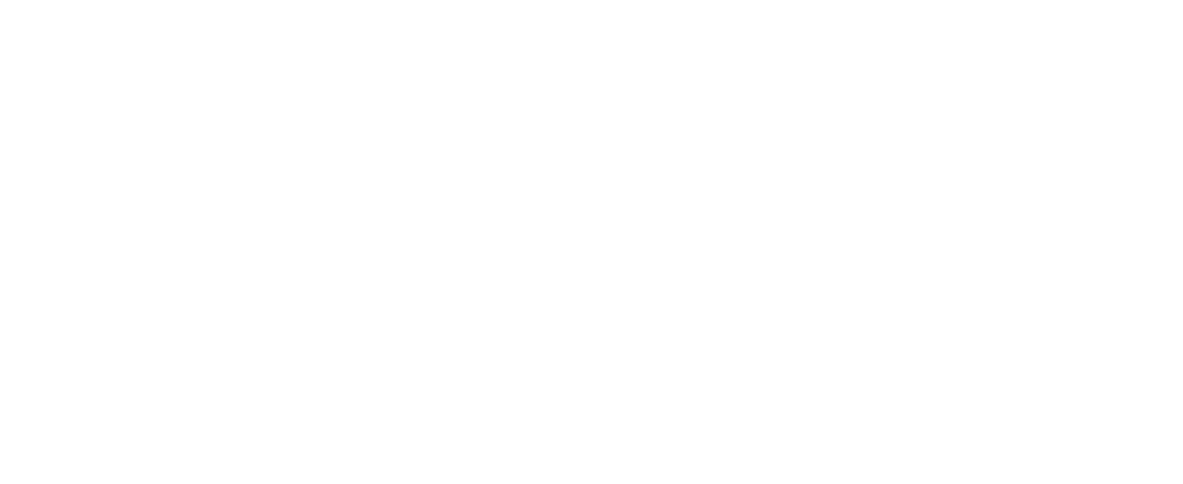 Flexson logo